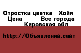 Отростки цветка  “Хойя“ › Цена ­ 300 - Все города  »    . Кировская обл.